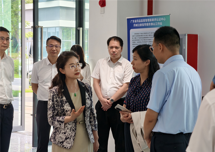 省药品监管局副局长王玲率队调研佛山医药产业高质量发展工作